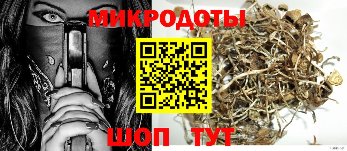 Псилоцибиновые грибы прущие грибы Городец