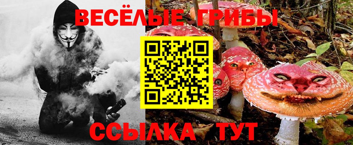 Городец  Псилоцибиновые грибы мухоморы  Вход с VPN  Галлюциногенные грибы ЛСД 
